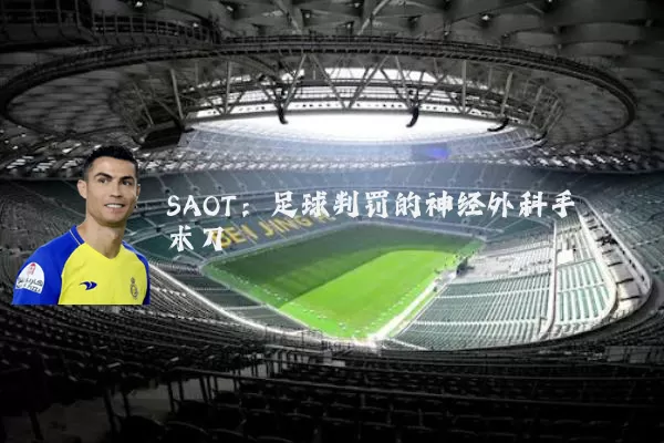 SAOT:足球判罚的神经外科手术刀