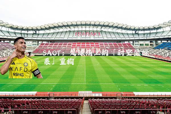 SAOT:足球场上的「时空坐标系」重构